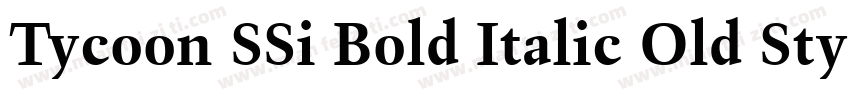 Tycoon SSi Bold Italic Old Style Figures字体转换